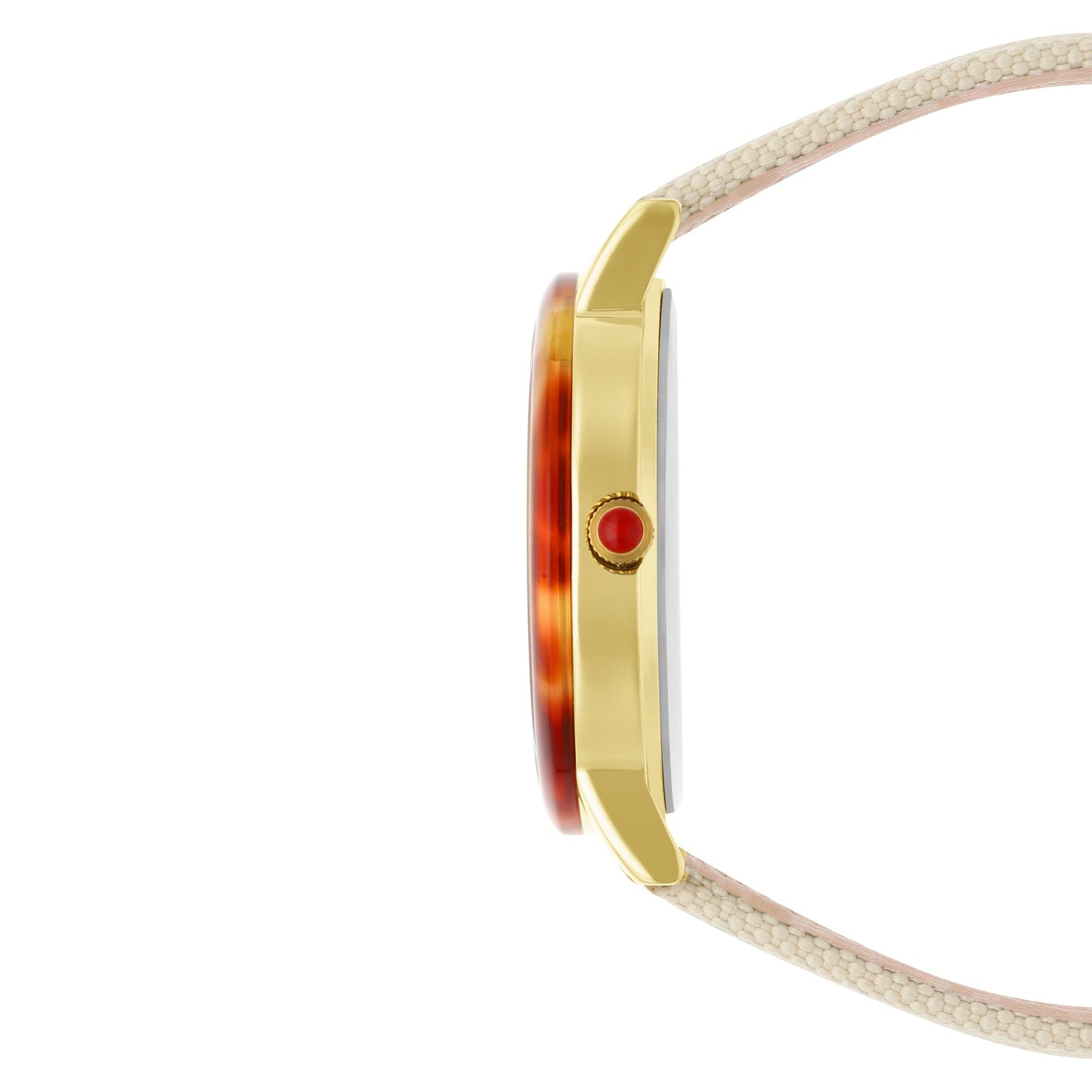 Reloj Cloe Análogo para Dama con Bisel Carey y Correa de Textil OE2546