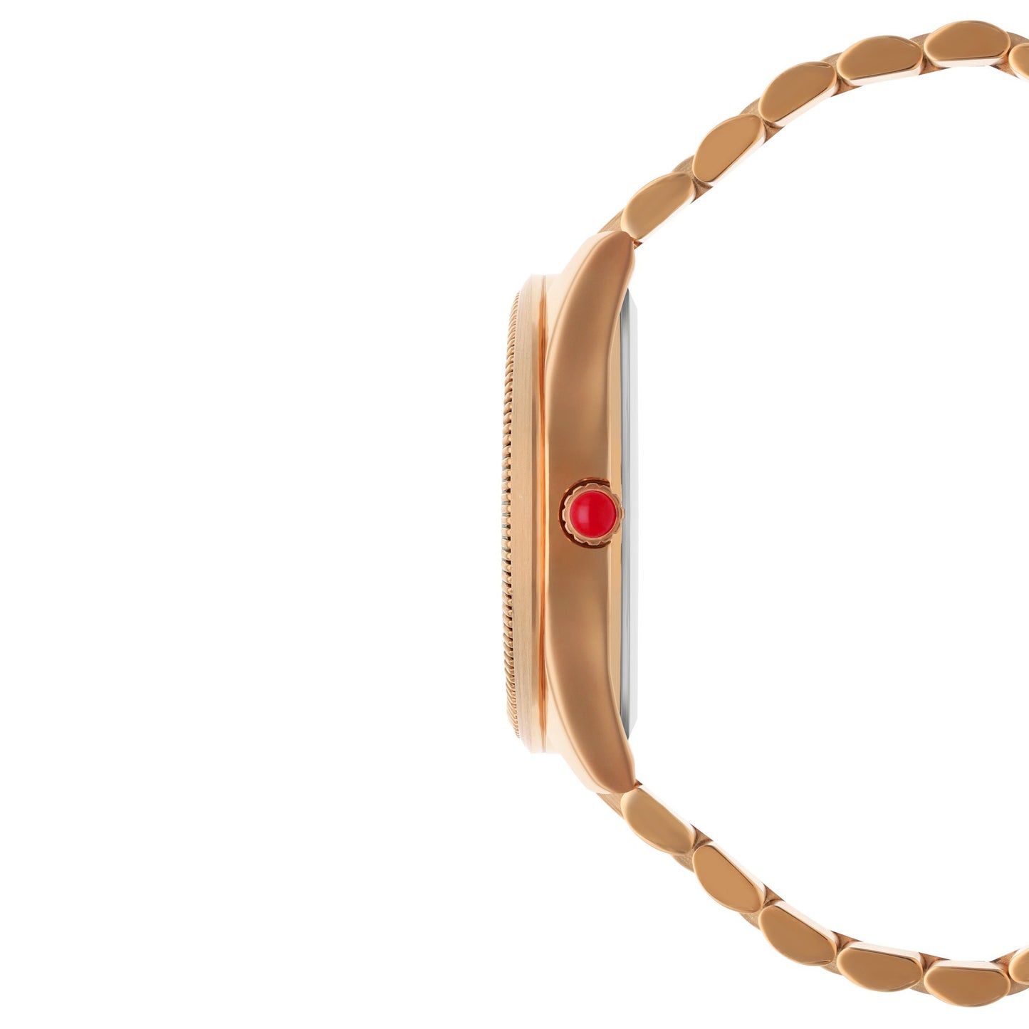 Reloj Cloe Análogo para Dama con Carátula con Diseño de Mariposas y Extensible de Acero Inoxidable OE2629